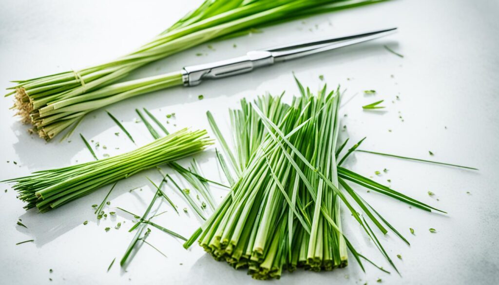 Lemongrass Preservation